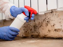 Best Mold Odor Removal Services in North Manchester, IN